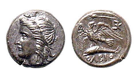 Image - A stater coin (4th century BC) found at Olbia (in the Odesa Odesa Archeological Museum).